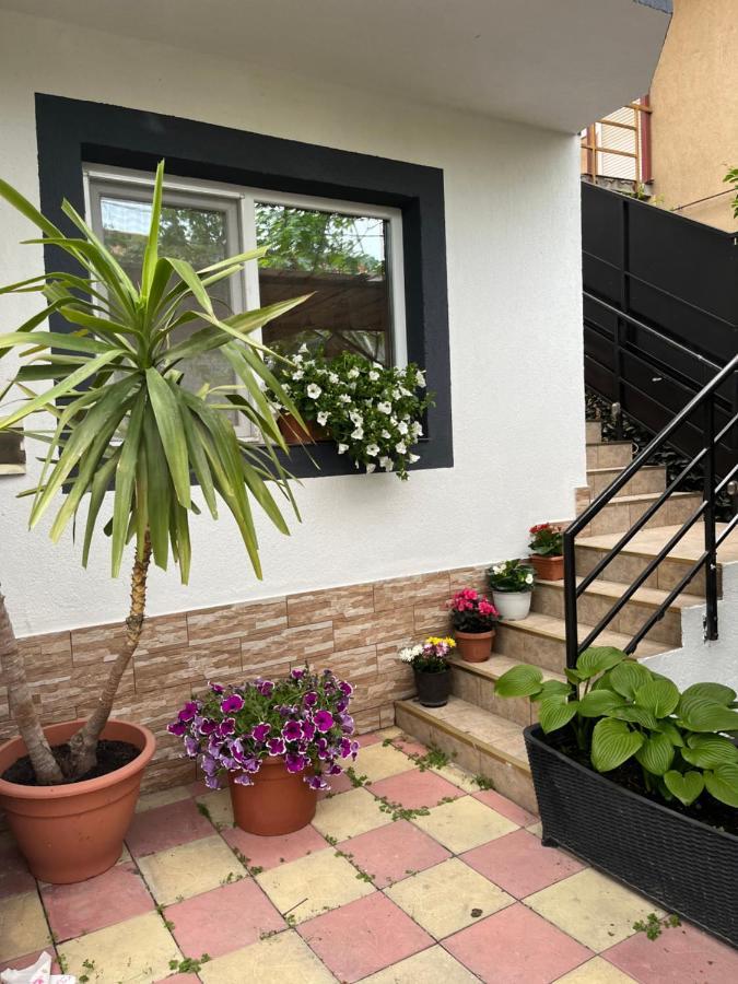 Vila Crinis Eforie Nord Ngoại thất bức ảnh